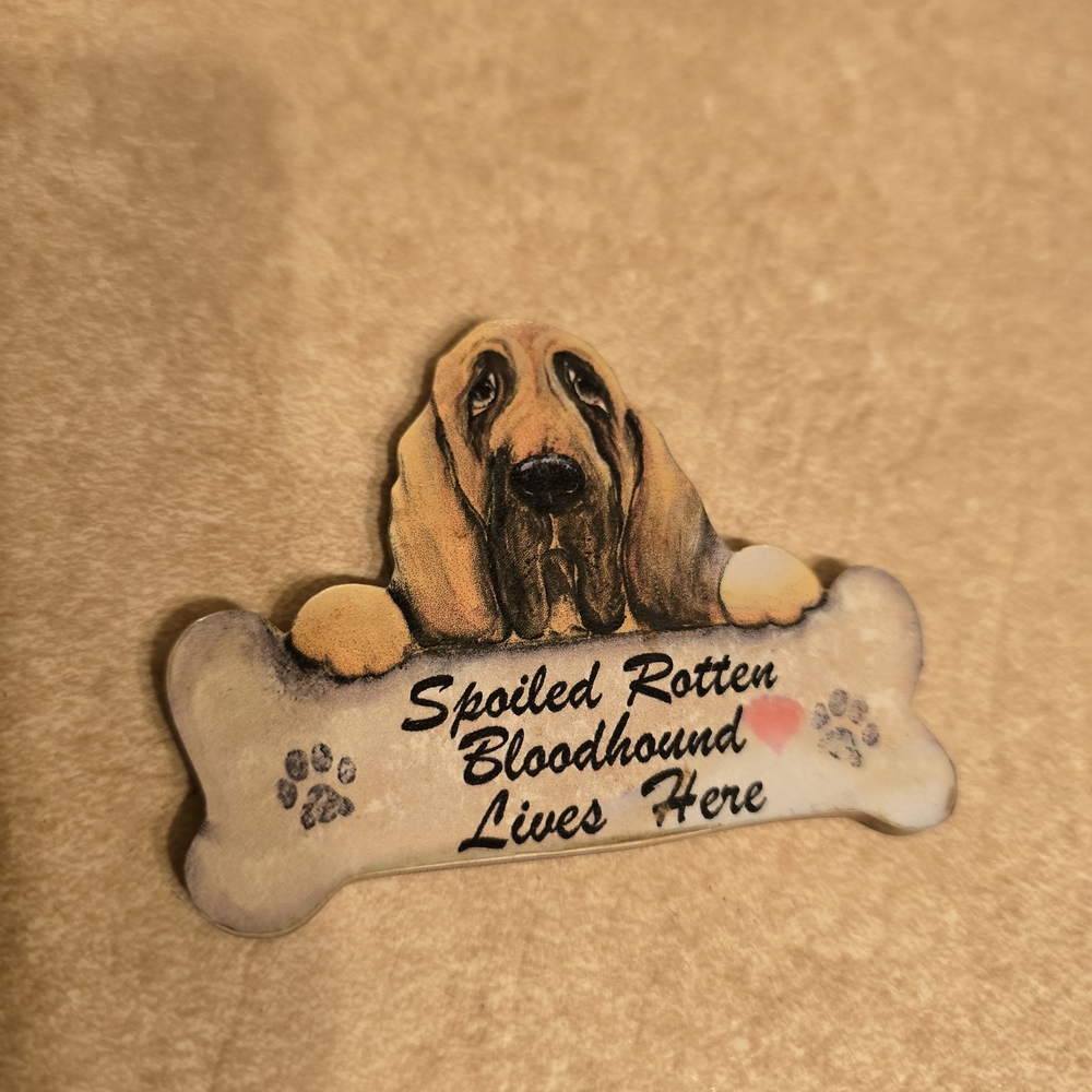 Small Bloodhound Decorative Bone Magnet